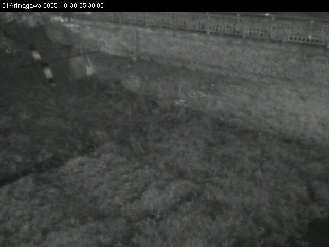 最新監視カメラ画像