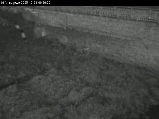 最新監視カメラ画像