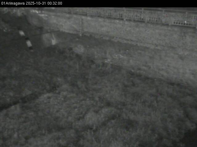 最新監視カメラ画像