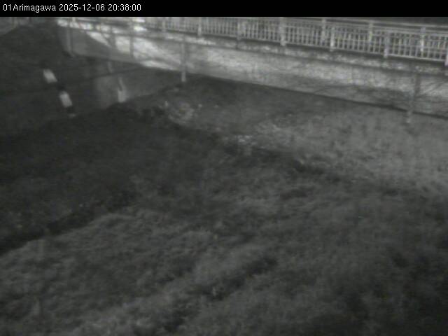 最新監視カメラ画像