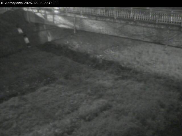 最新監視カメラ画像