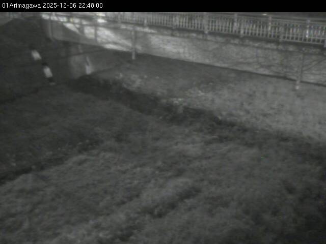 最新監視カメラ画像