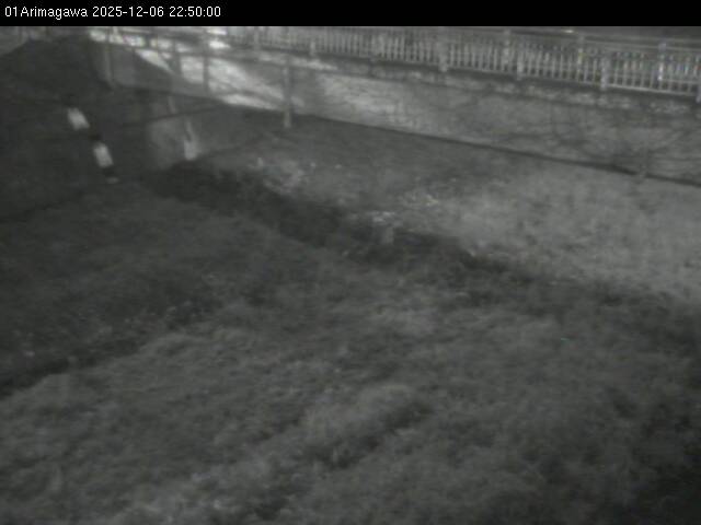 最新監視カメラ画像