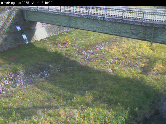 最新監視カメラ画像