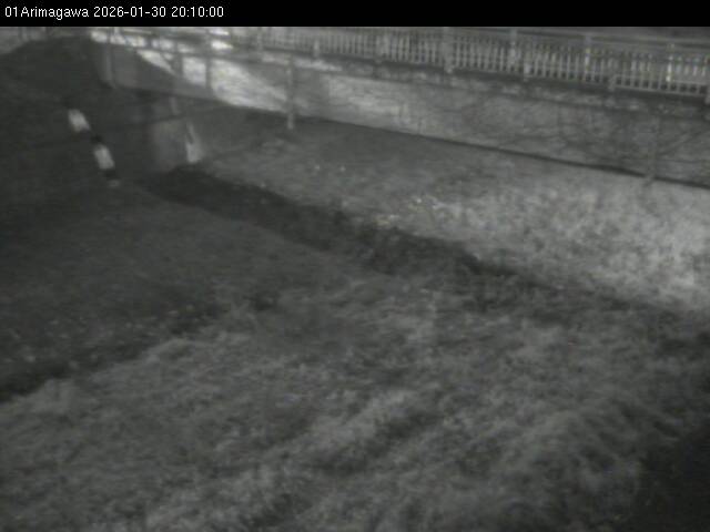 最新監視カメラ画像