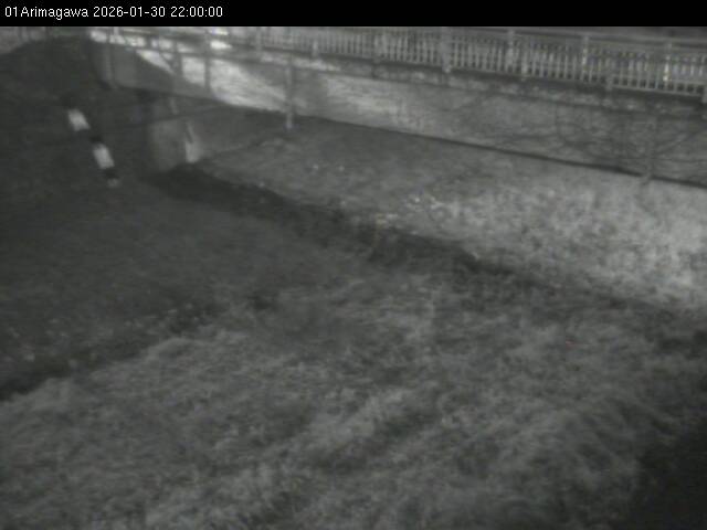 最新監視カメラ画像