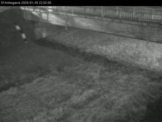 最新監視カメラ画像