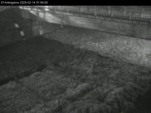 最新監視カメラ画像