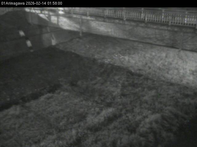 最新監視カメラ画像