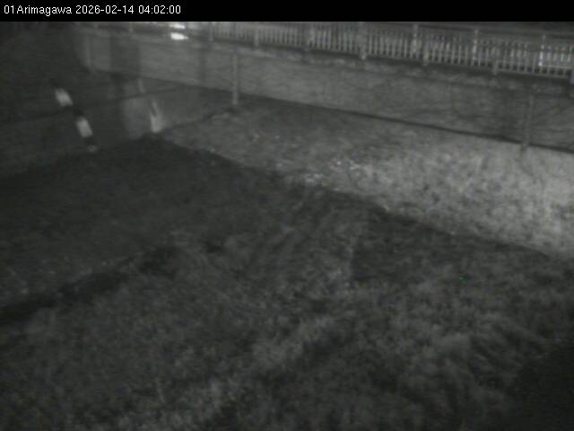 最新監視カメラ画像