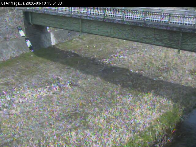 最新監視カメラ画像