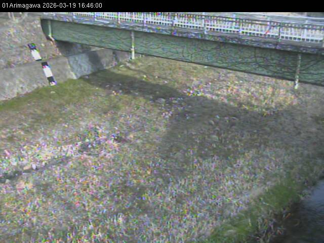 最新監視カメラ画像