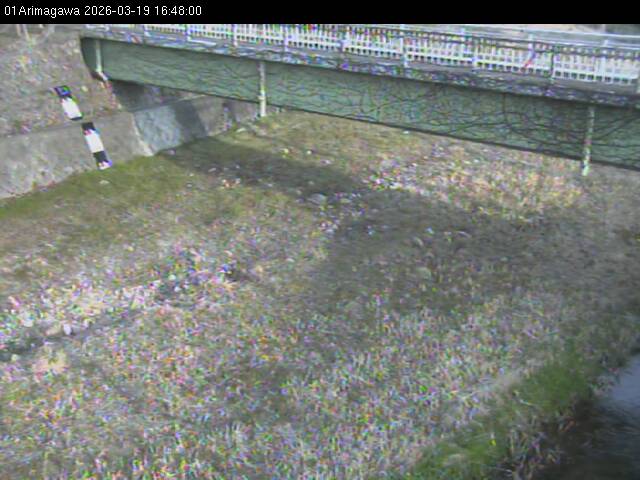 最新監視カメラ画像