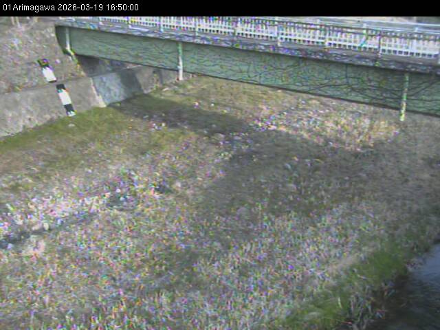 最新監視カメラ画像