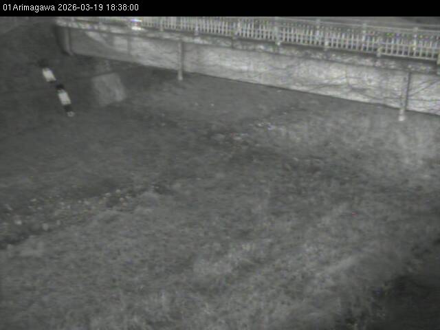 最新監視カメラ画像