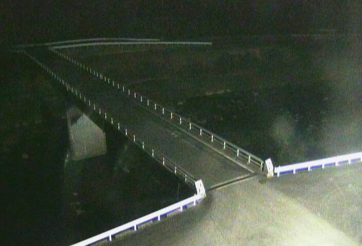 最新監視カメラ画像