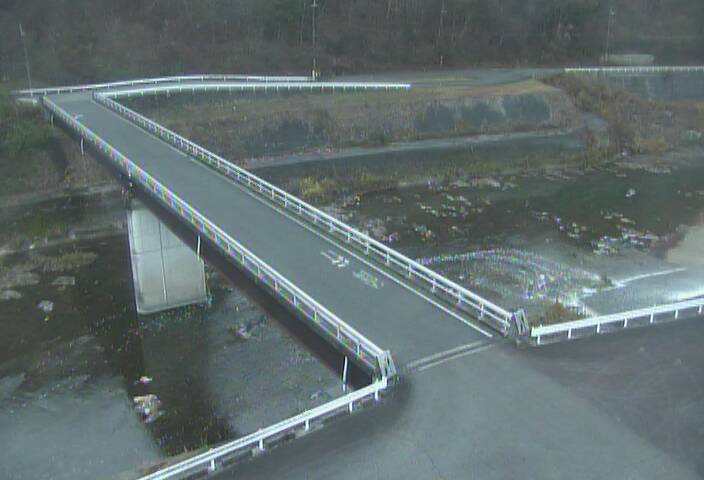 最新監視カメラ画像