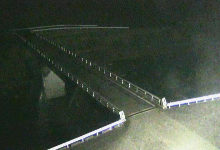 最新監視カメラ画像