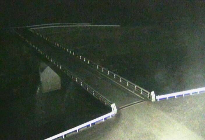 最新監視カメラ画像