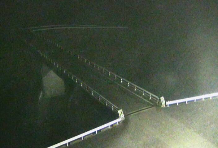 最新監視カメラ画像