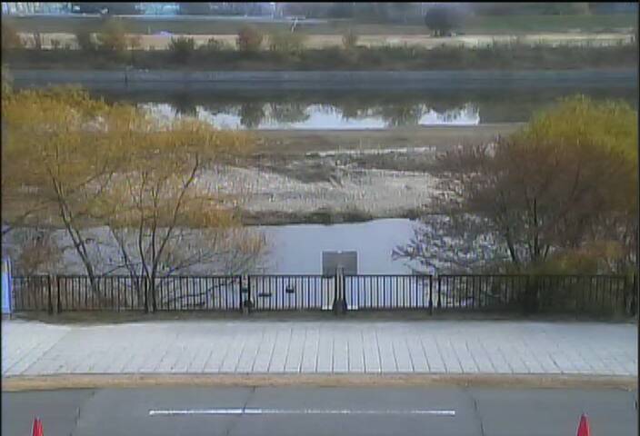 最新監視カメラ画像