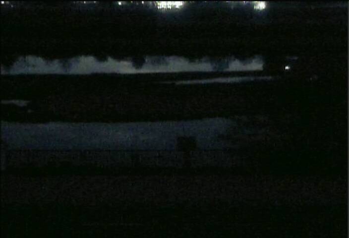 最新監視カメラ画像