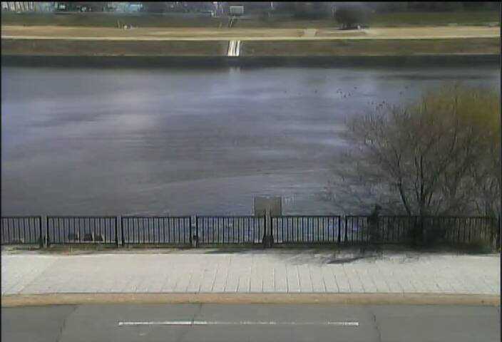 最新監視カメラ画像