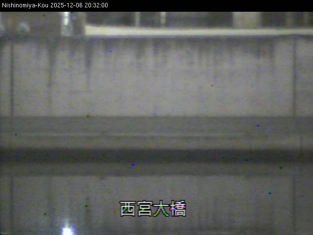 最新監視カメラ画像