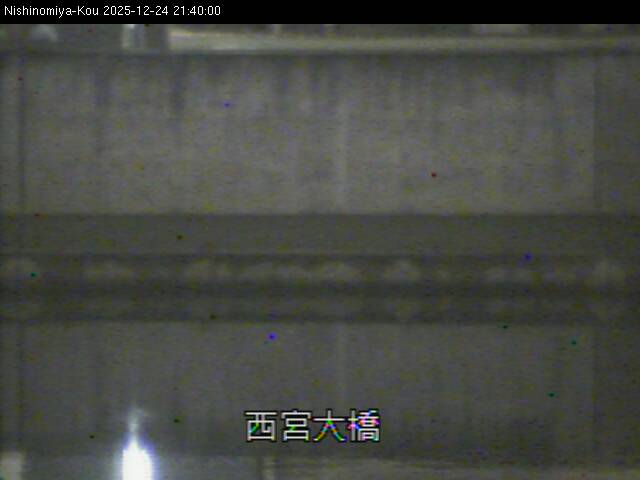 最新監視カメラ画像