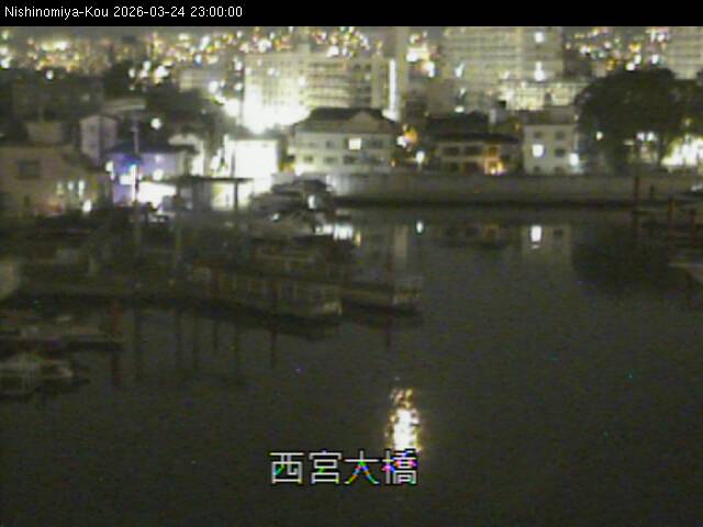 最新監視カメラ画像