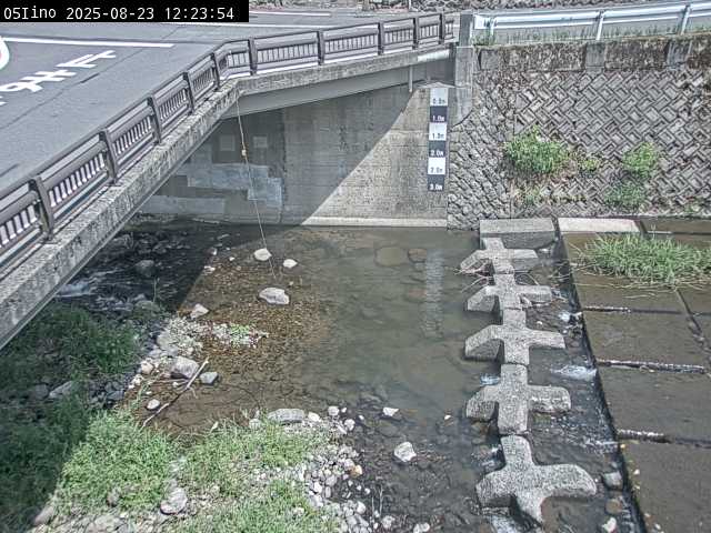 最新監視カメラ画像