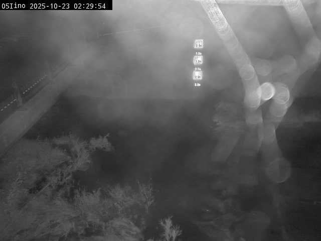 最新監視カメラ画像