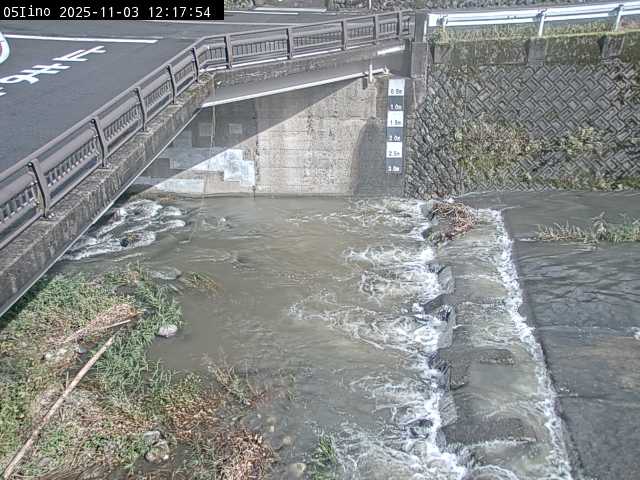 最新監視カメラ画像