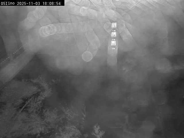 最新監視カメラ画像