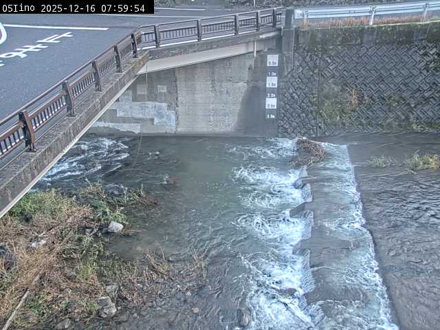 最新監視カメラ画像