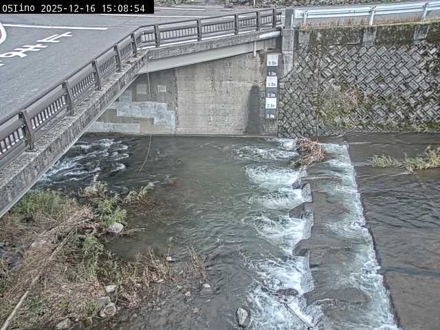 最新監視カメラ画像