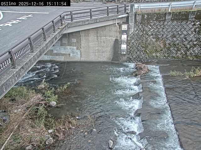 最新監視カメラ画像