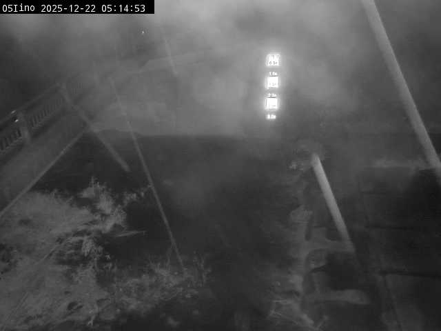 最新監視カメラ画像