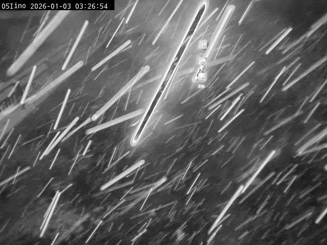 最新監視カメラ画像