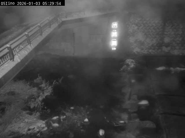 最新監視カメラ画像