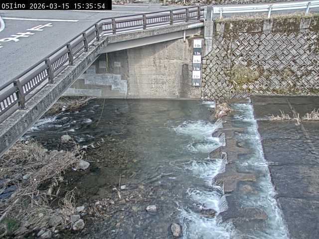 最新監視カメラ画像