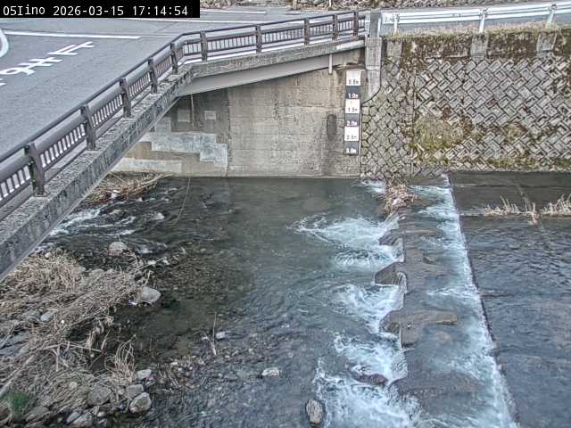 最新監視カメラ画像