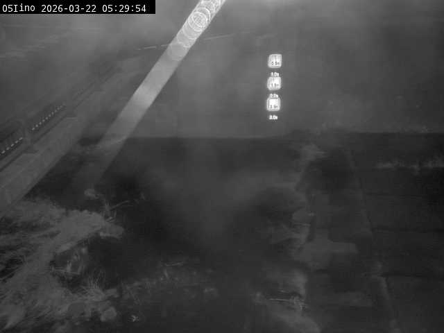 最新監視カメラ画像