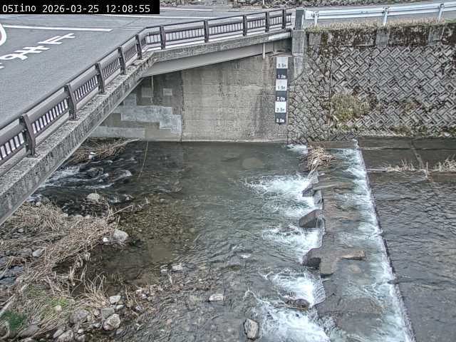 最新監視カメラ画像