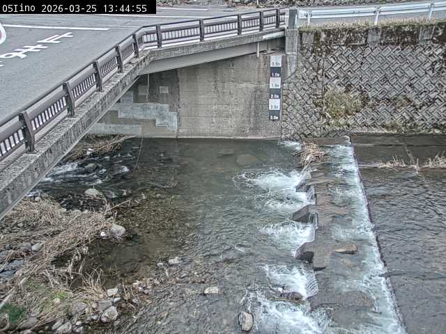 最新監視カメラ画像