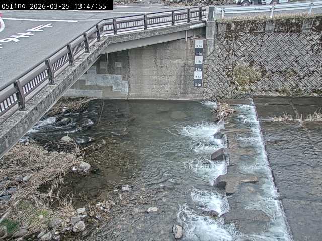 最新監視カメラ画像