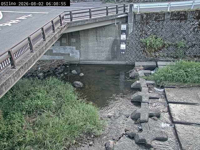 最新監視カメラ画像
