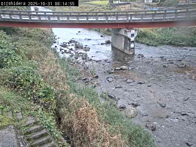 最新監視カメラ画像