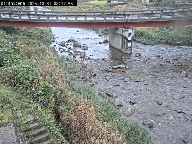 最新監視カメラ画像