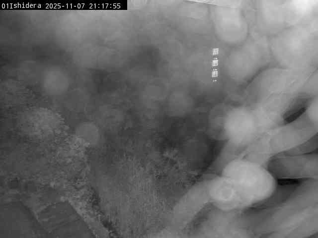 最新監視カメラ画像